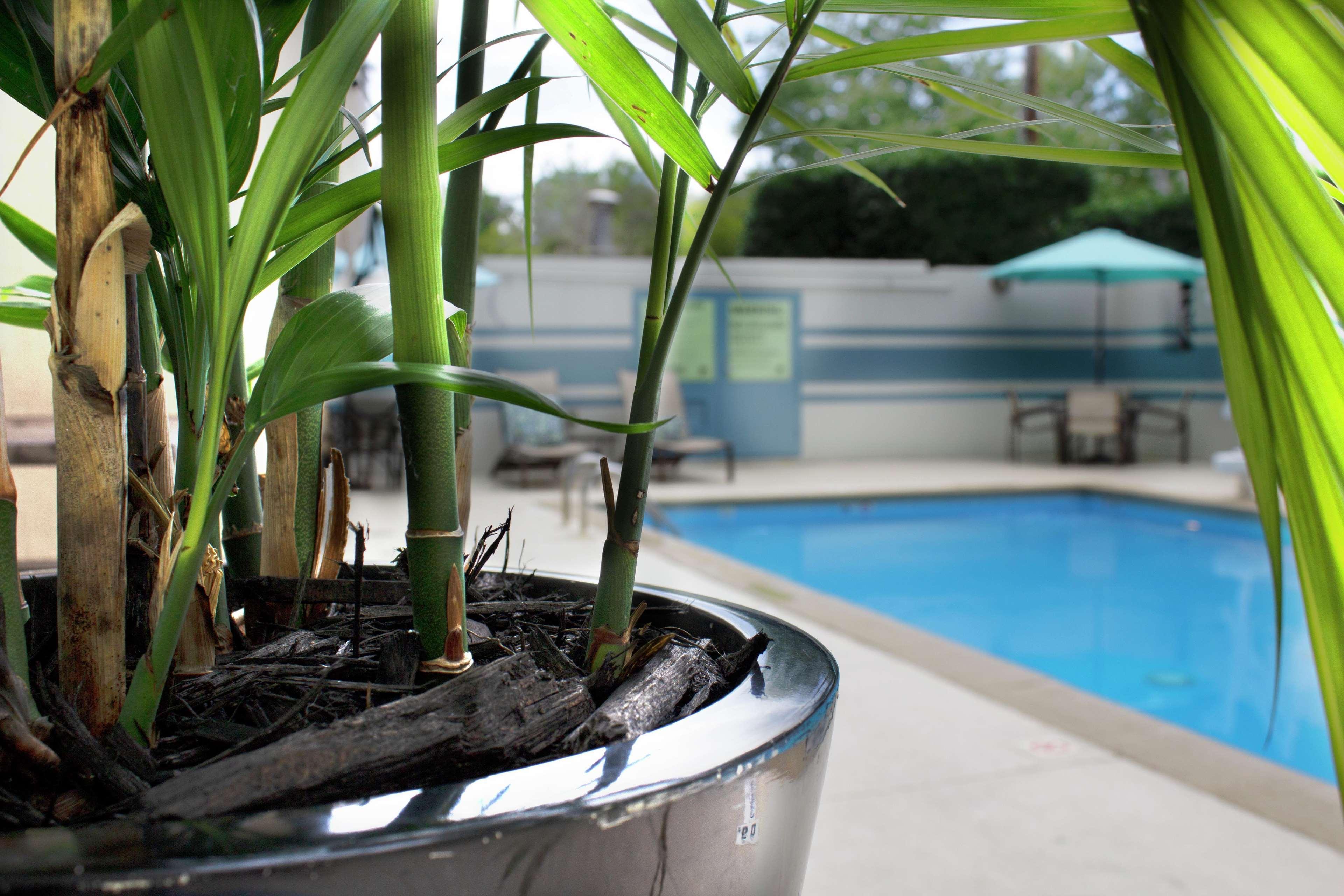 Doubletree By Hilton Charlotte Uptown Hotell Exteriör bild